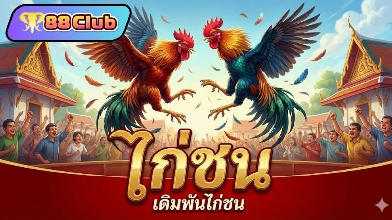 ประวัติความเป็นมาและวิวัฒนาการของการชนไก่สู่ยุคดิจิทัล